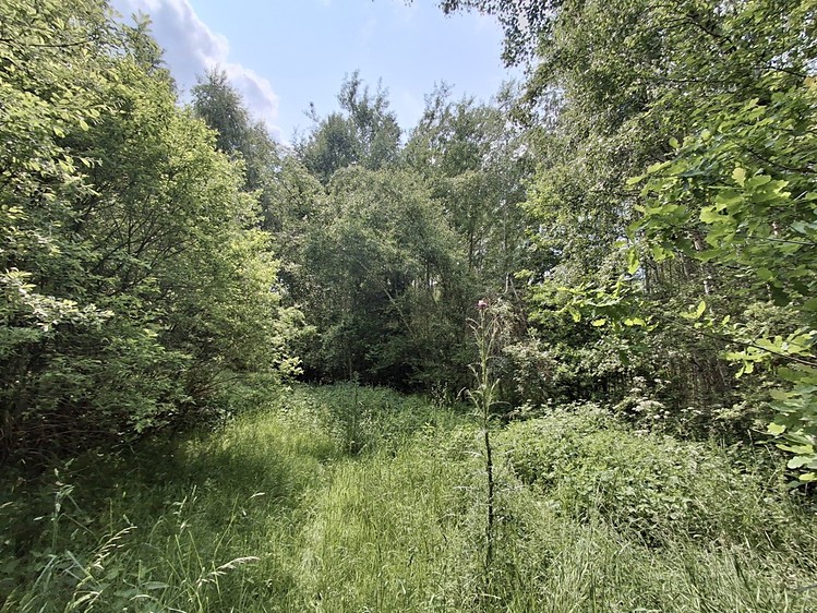 Prodej pozemku, 39 941 m² (7 z 9)