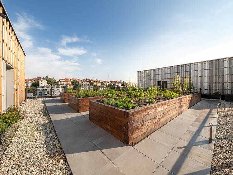 Pronájem komerčního prostoru, 500 m² (10 z 11)