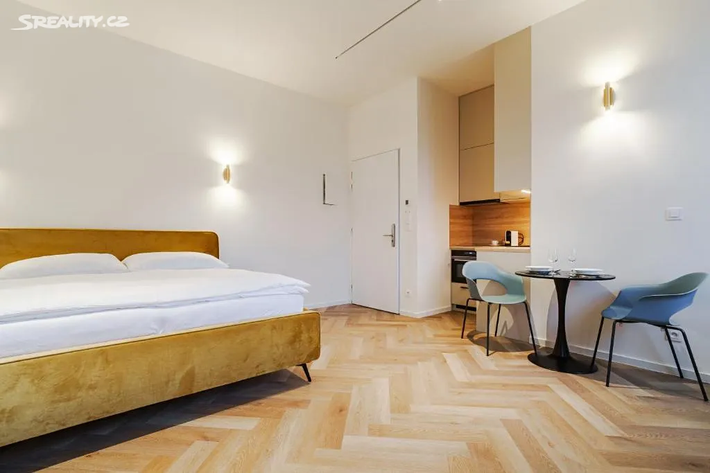 Pronájem bytu 1+kk 28 m², Brno