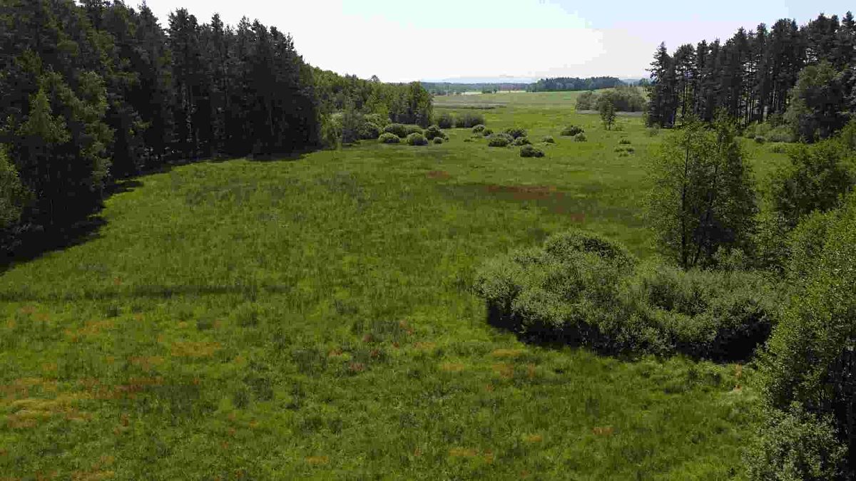 Prodej pozemku 20535 m², Jílovice – fotka 1 z 3