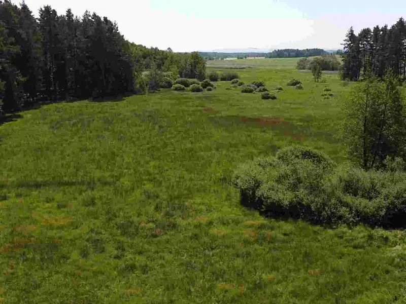 Prodej pozemku 20535 m², Jílovice – náhled fotky 1