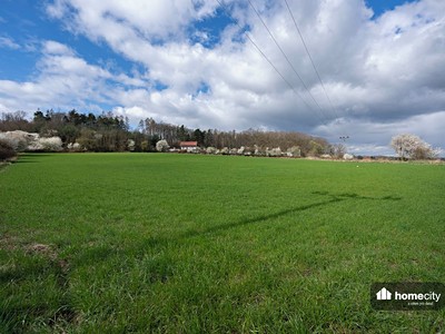 Prodej  stavebního pozemku 10 705 m² — photo 3