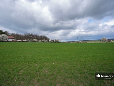 Prodej  stavebního pozemku 10 705 m² — photo 4
