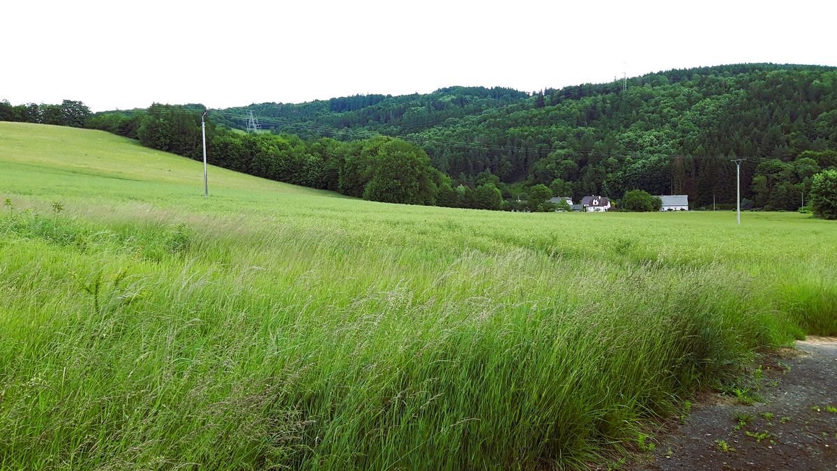 Prodej stavebního pozemku 1250 m², Oskava – fotka 1 z 3