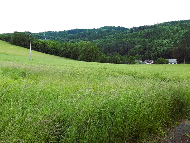 Prodej stavebního pozemku 1250 m², Oskava – náhled fotky 1