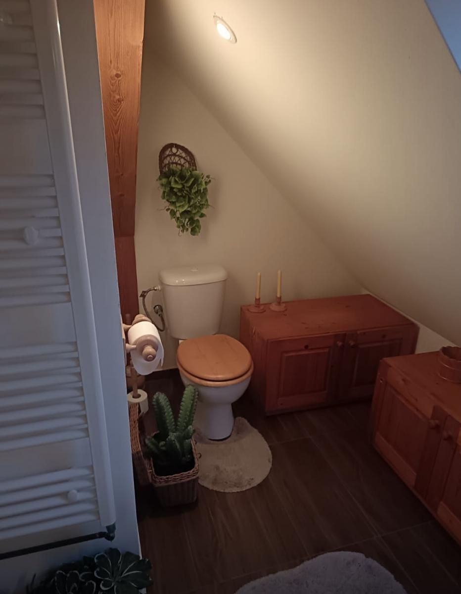 Prodej rodinného domu 300 m², pozemek 1122 m² – fotografie 4