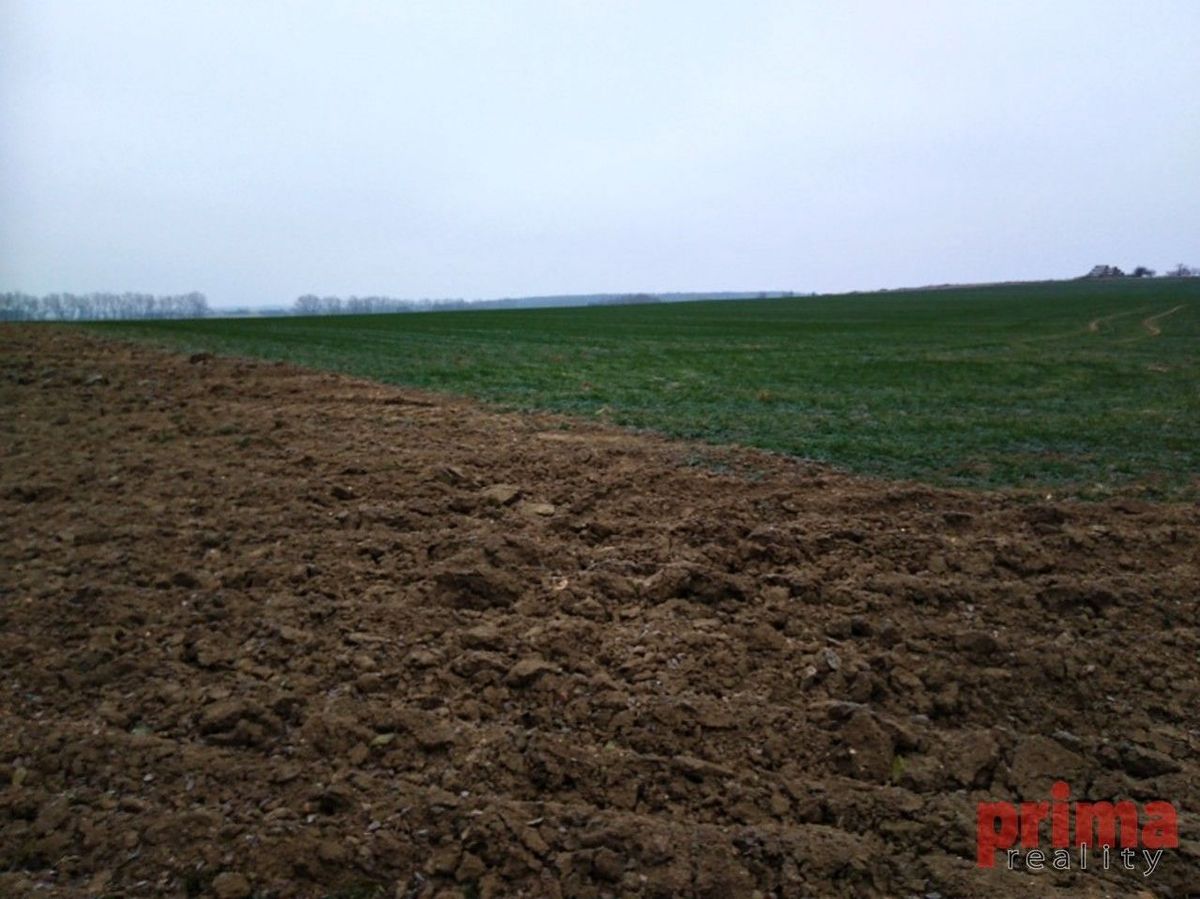 Prodej stavebního pozemku 1900 m²
