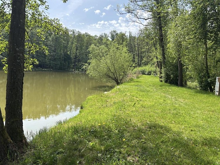 Prodej pozemku, 21 421 m² (9 z 15)