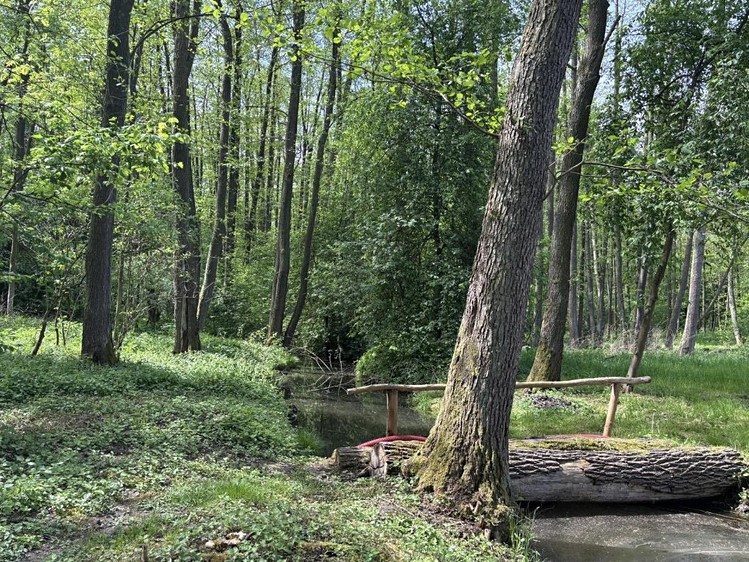 Prodej pozemku, 21 421 m² (5 z 15)