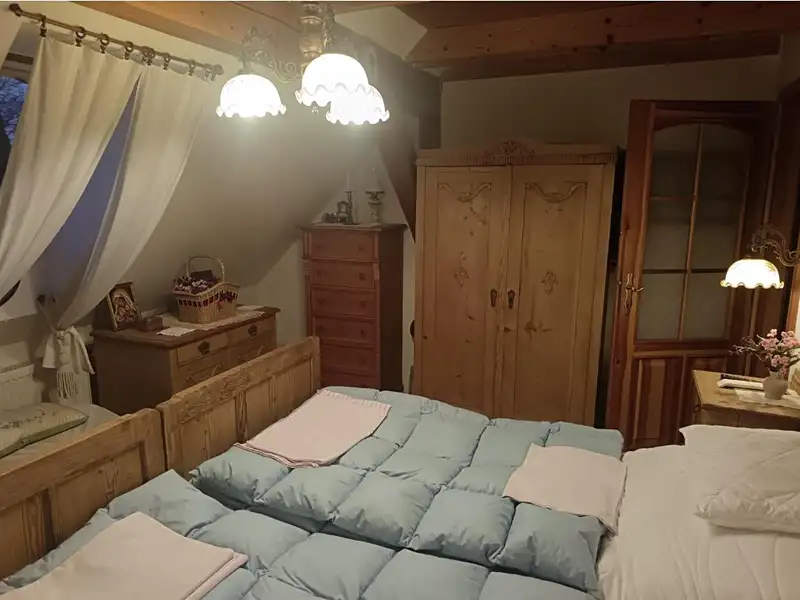 Prodej rodinného domu 300 m², pozemek 1122 m², Vysočina – náhled fotky 3