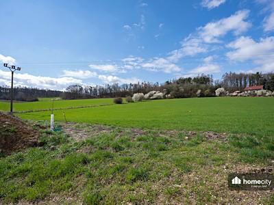 Prodej  stavebního pozemku 10 705 m² — photo 2