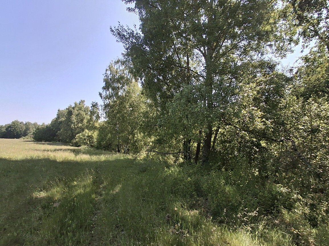 Prodej pozemku 39941 m² – fotografie 3
