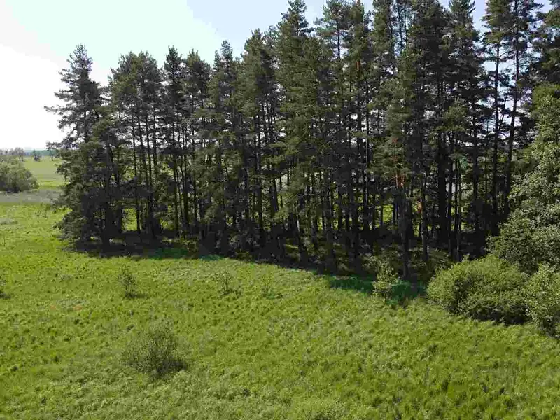 Prodej pozemku 20535 m², Jílovice – náhled fotky 2
