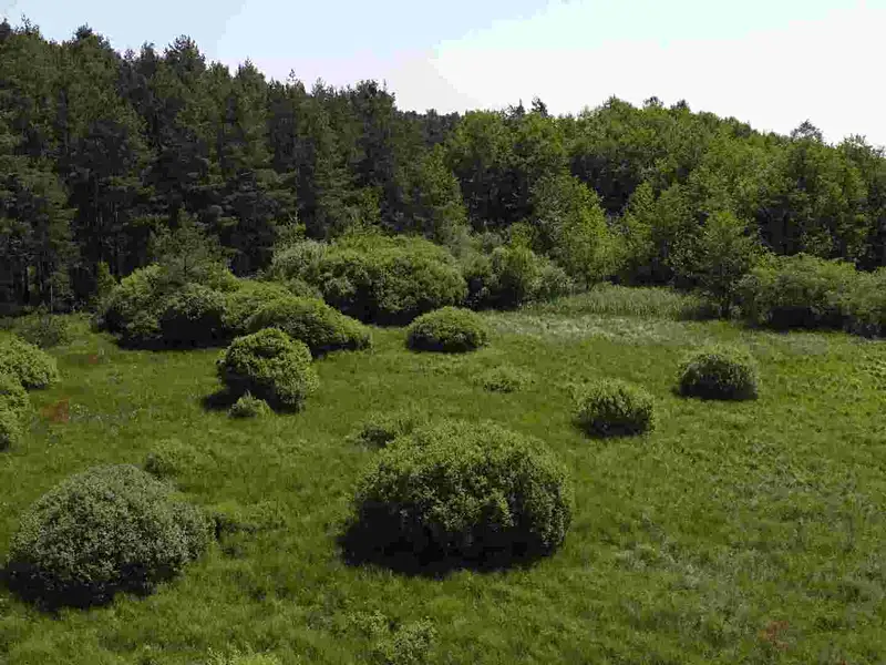 Prodej pozemku 20535 m², Jílovice – náhled fotky 3