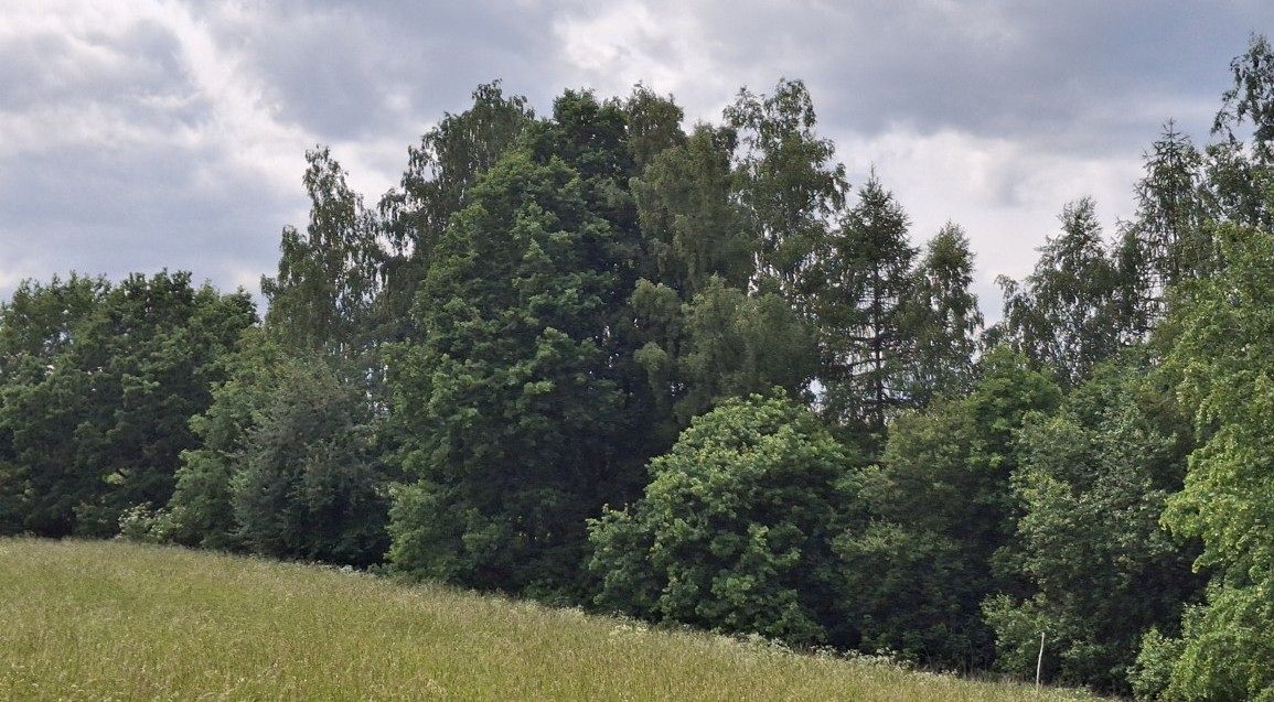 Prodej pozemku 39941 m² – fotografie 2