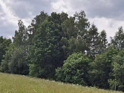 Prodej pozemku, 39 941 m² (2 z 9)