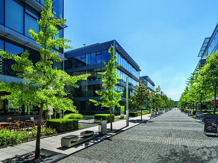 Комерційне приміщення в оренду, 937 м² (9 з 12)
