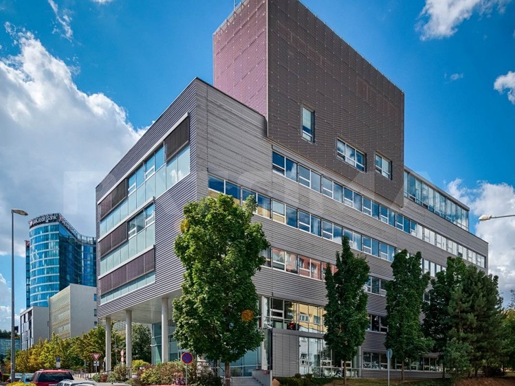 Gewerbefläche zur Miete, 622 m² (1 von 9)