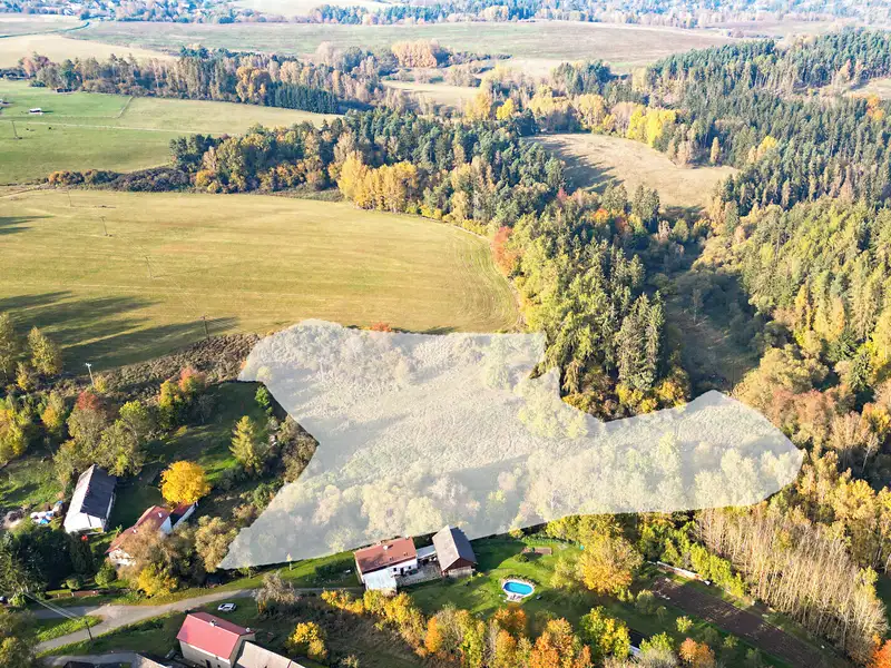Prodej louky 15970 m², Planá – náhled fotky 3