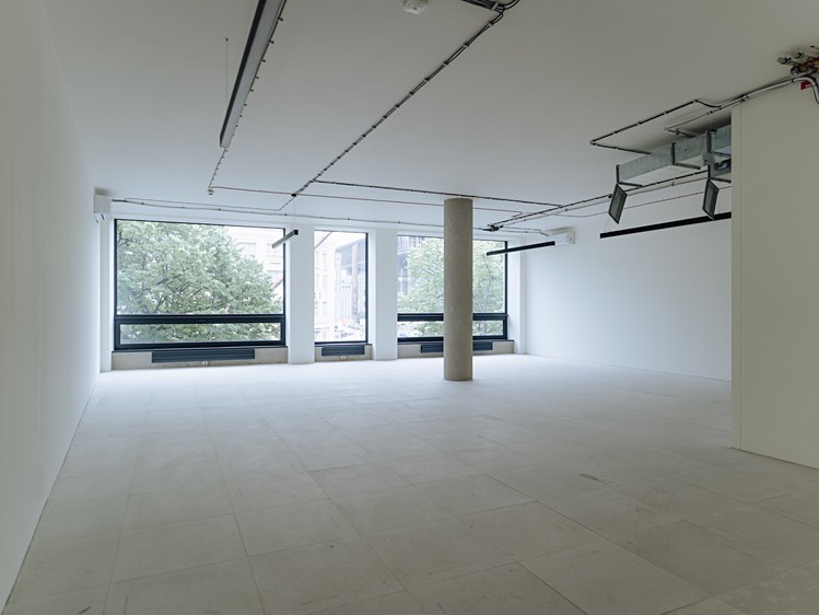 Pronájem komerčního prostoru, 326 m² (9 z 20)