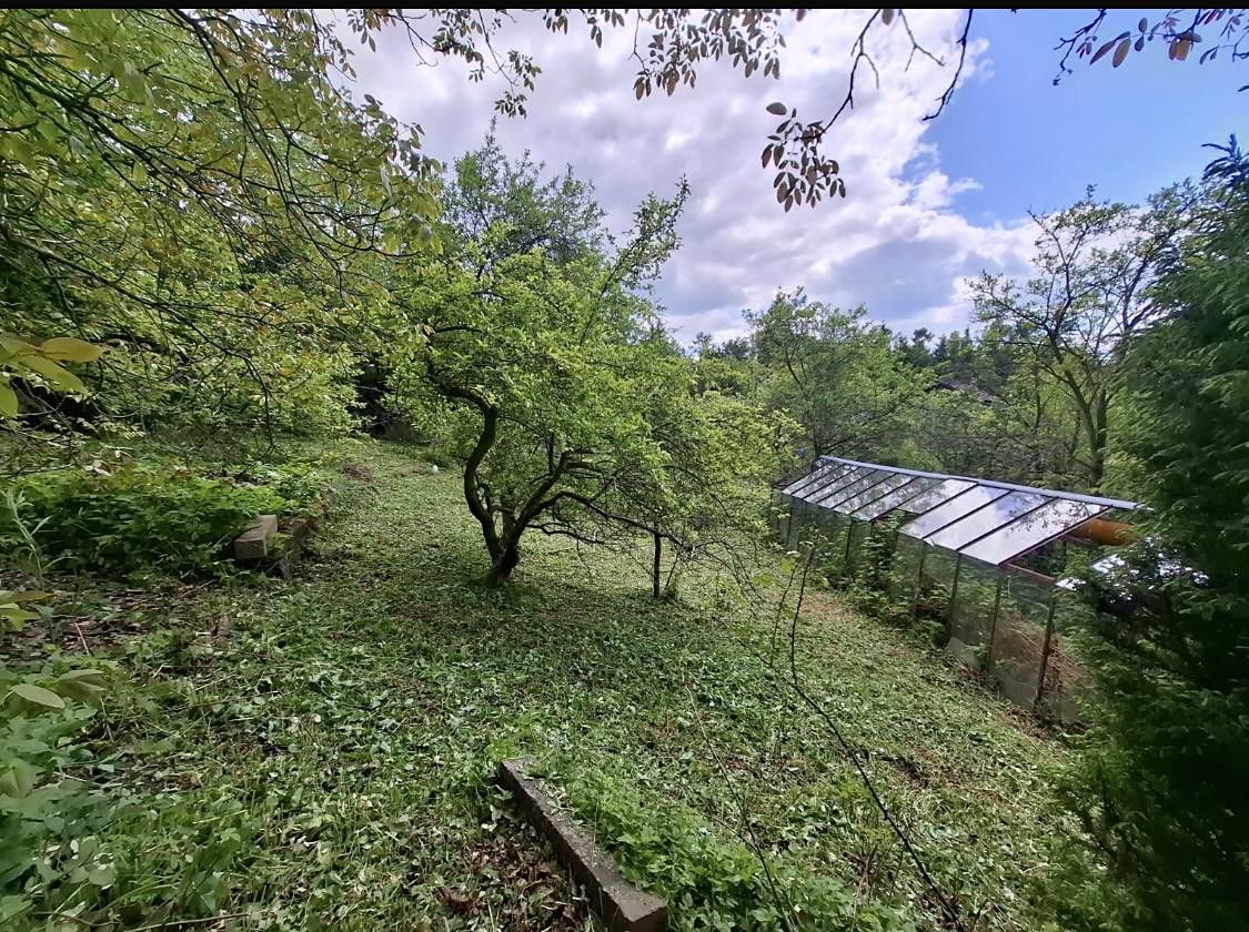 Prodej chaty 50 m², pozemek 928 m² – fotografie 4