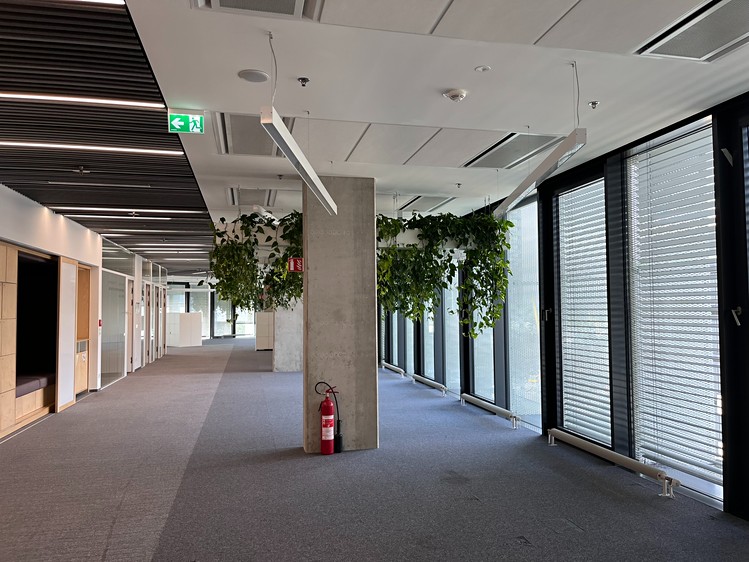 Gewerbefläche zur Miete, 1.700 m² (11 von 13)