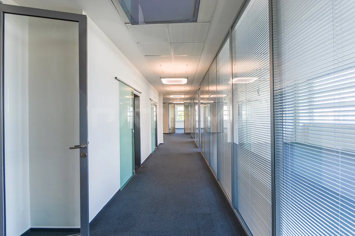 Fotka 8 z 17