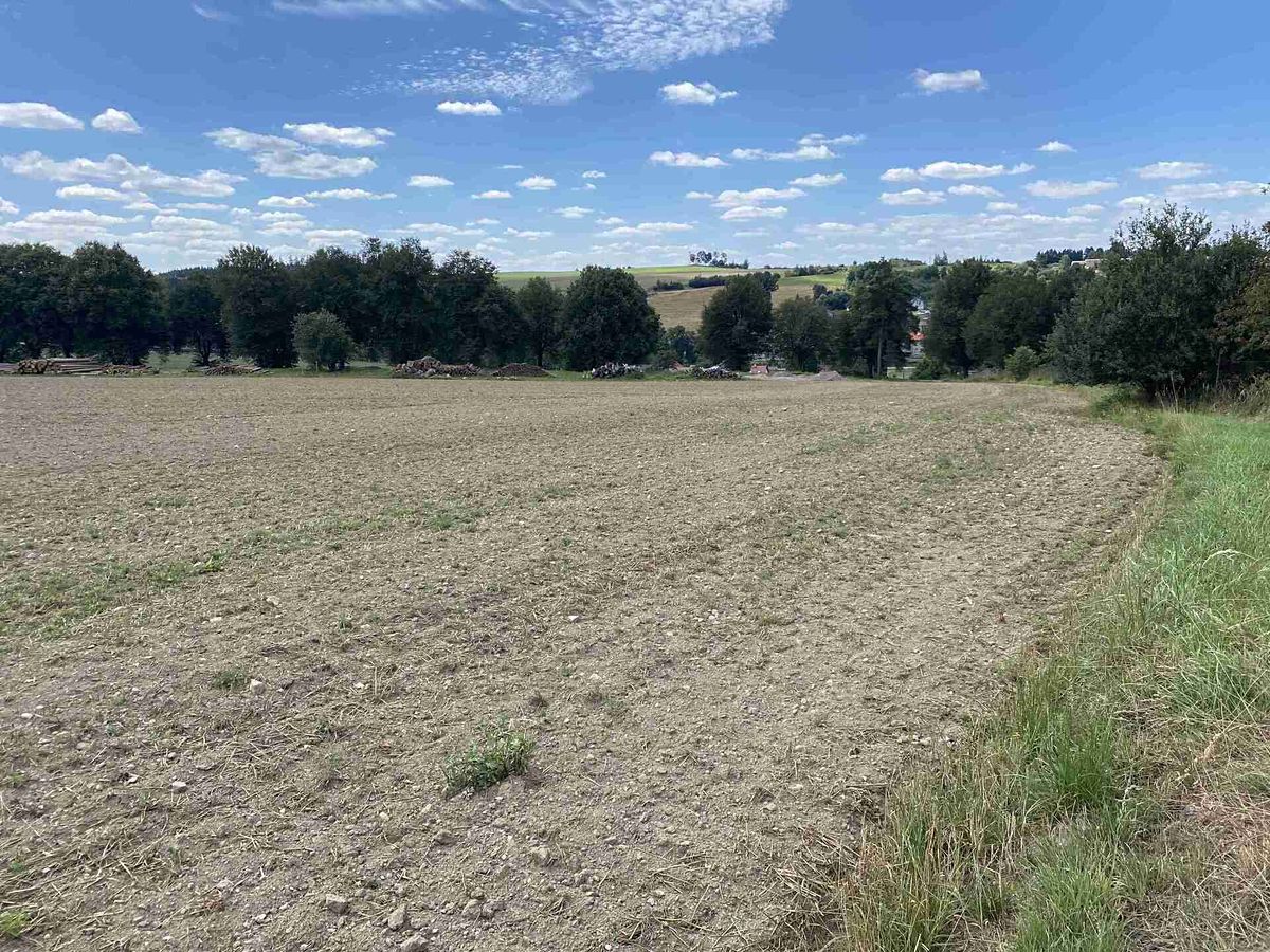 Prodej komerčního pozemku 11096 m² – fotografie 2