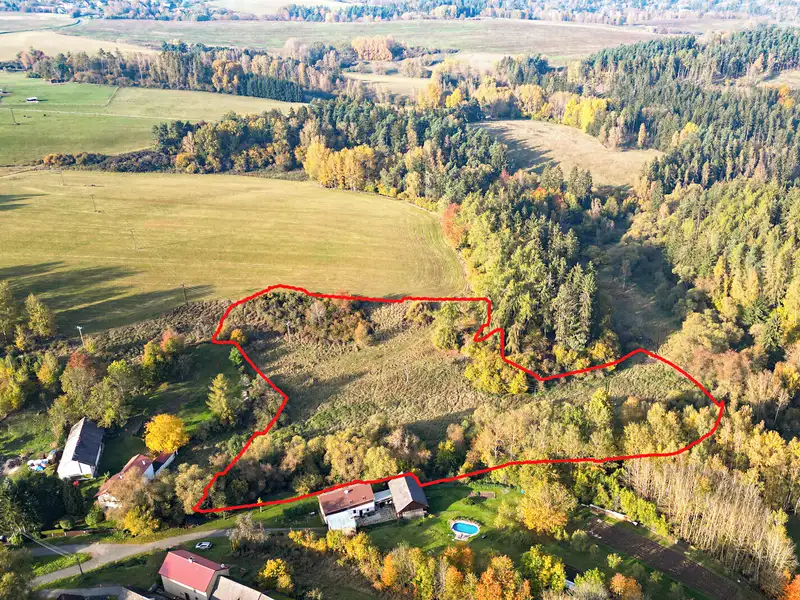 Prodej louky 15970 m², Planá – náhled fotky 2