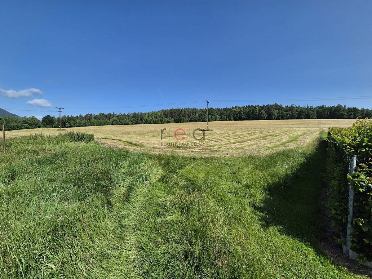 Prodej stavebního pozemku 1725 m² – fotografie 3