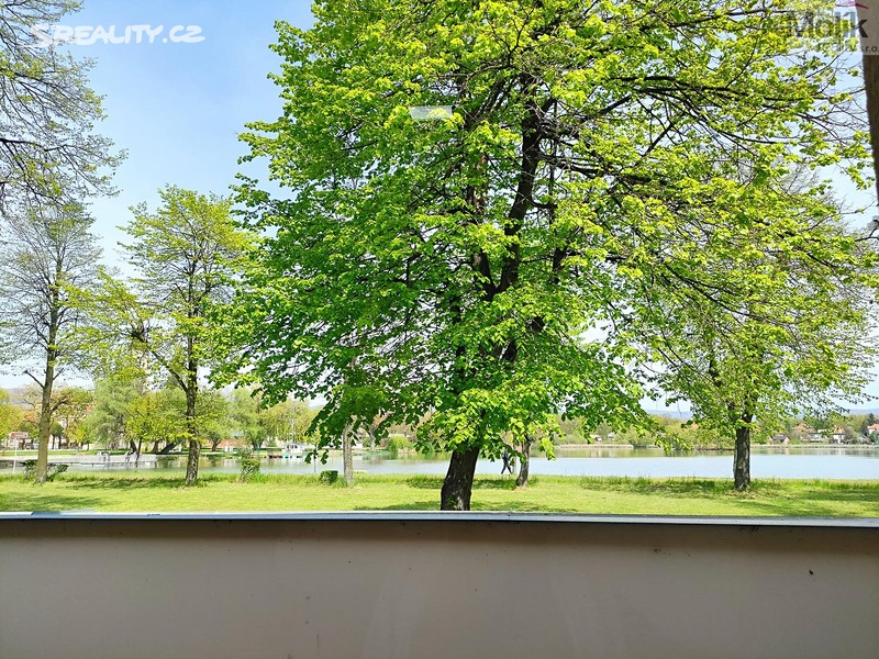 Prodej komerční nemovitosti 2 493 m² – pohled 5