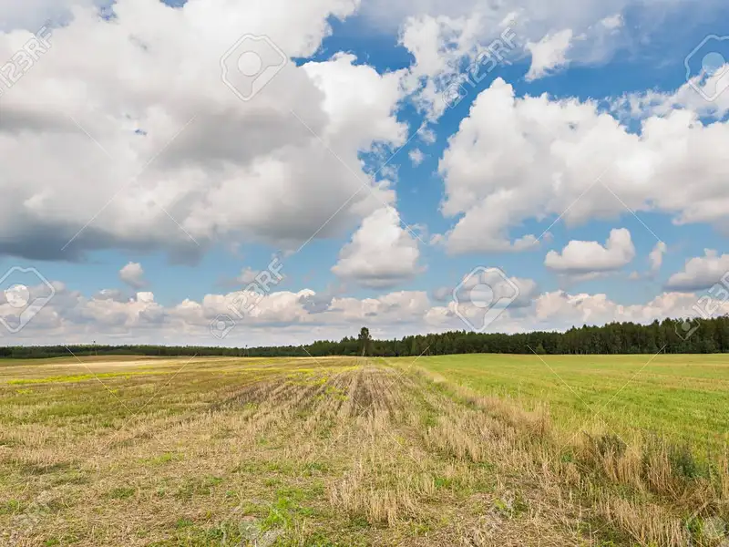 Prodej lesa 16733 m², Pyšely – náhled fotky 1