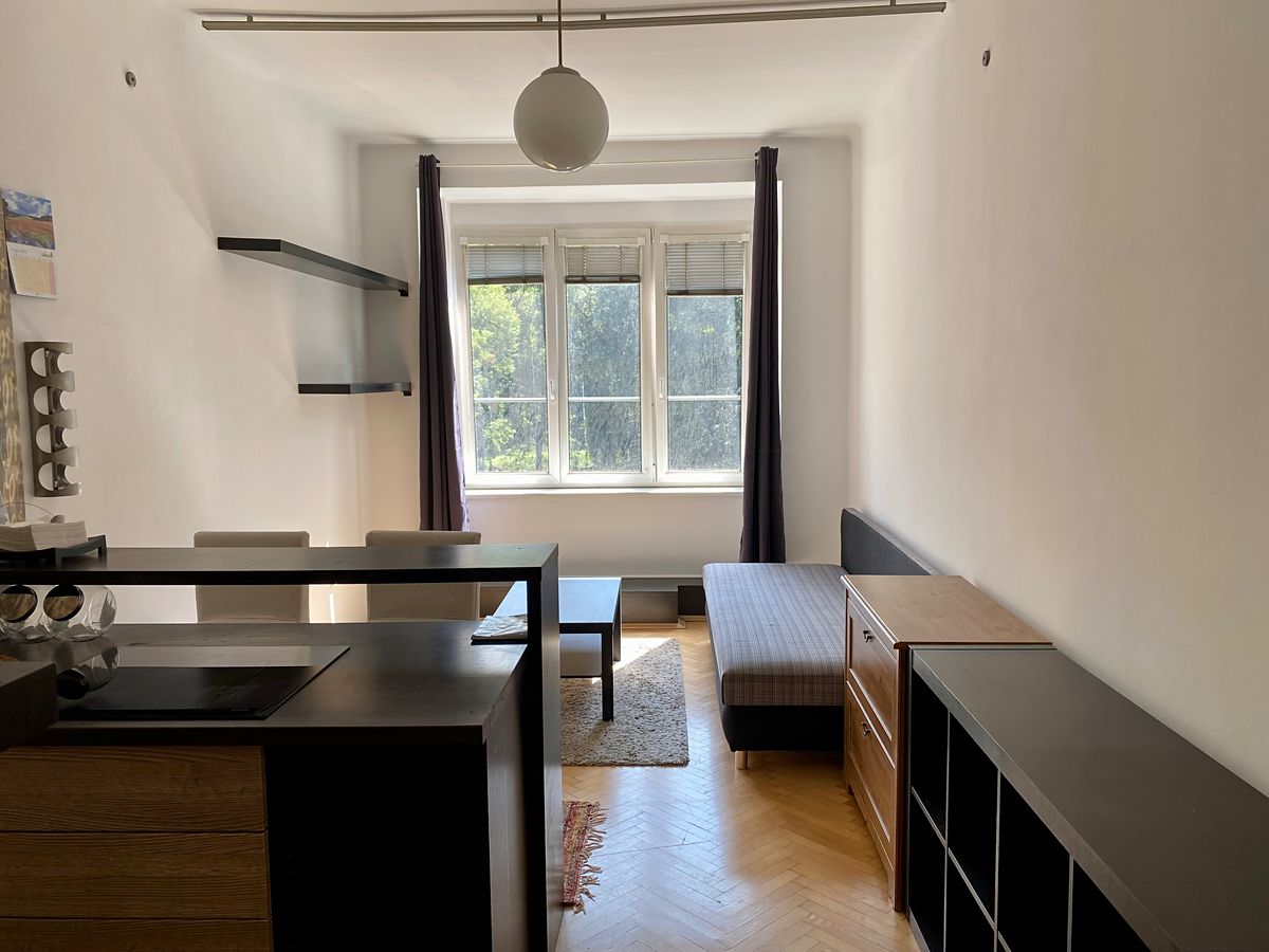 Pronájem bytu 1+kk 25 m² – fotografie 2