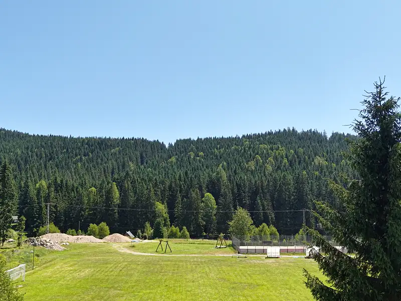Prodej chalupy 250 m², pozemek 500 m², Kořenov – náhled fotky 2