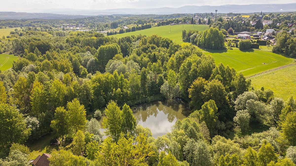 Prodej pole 54868 m², Krajková – fotka 1 z 3