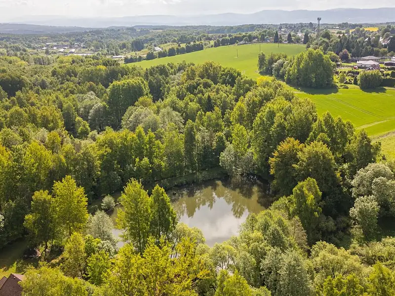 Prodej pole 54868 m², Krajková – náhled fotky 1