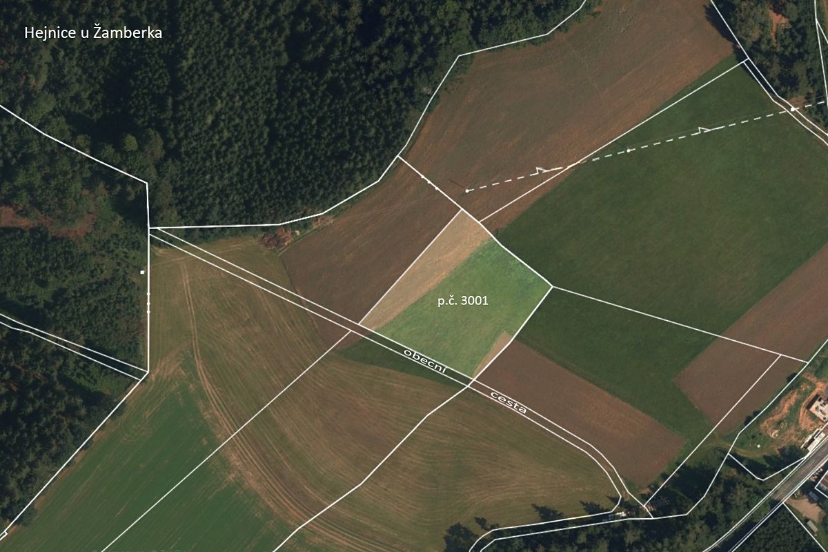 Prodej louky 4866 m² – fotografie 2