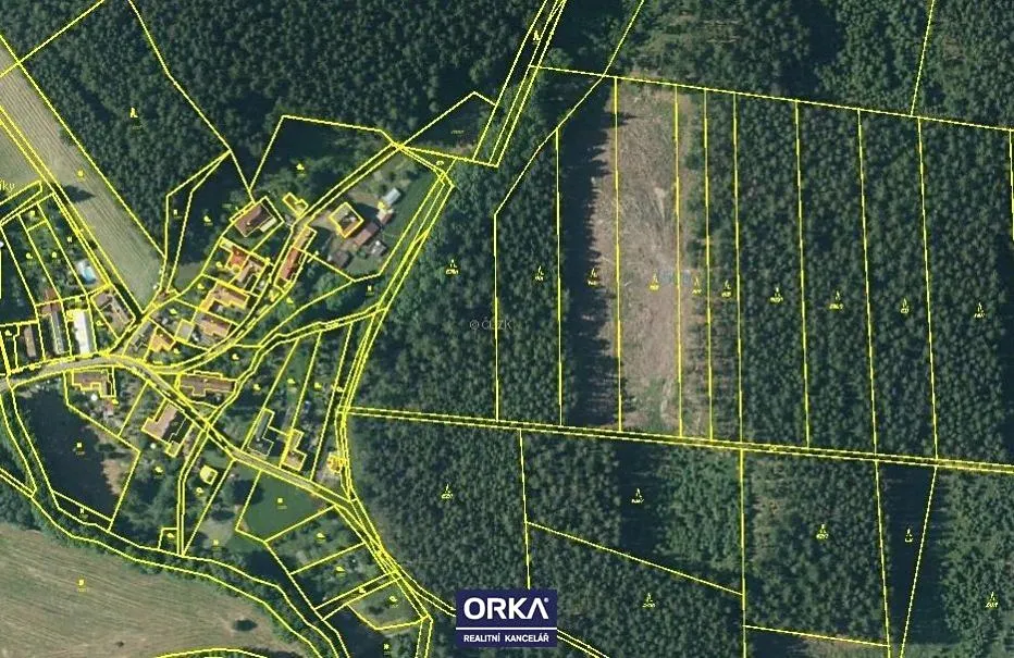Prodej lesa 5078 m²