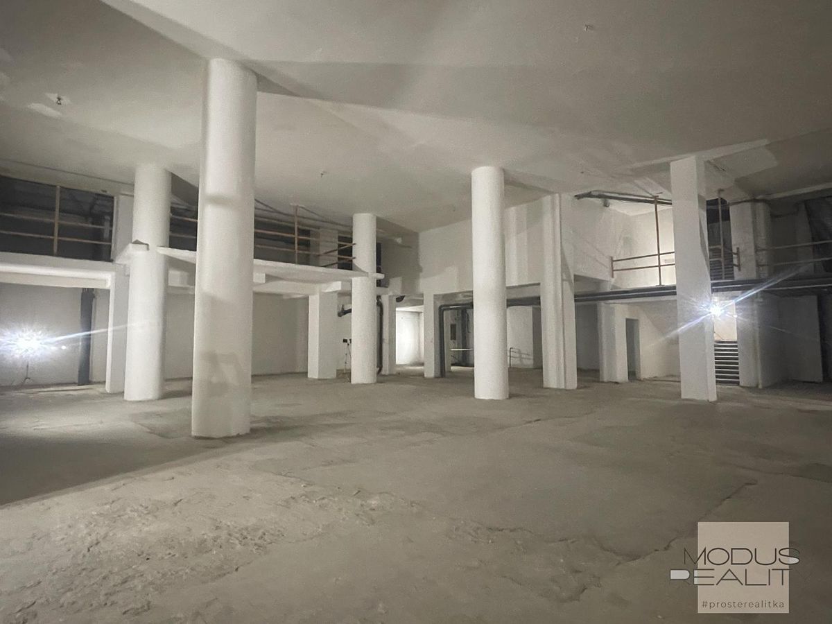 Pronájem obchodního prostoru 1000 m²