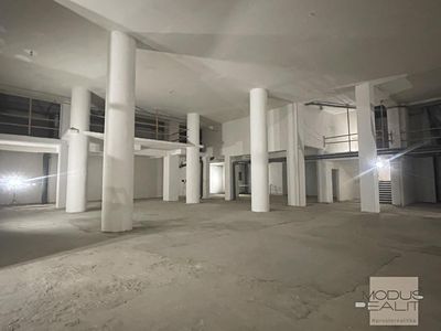 Pronájem obchodního prostoru 1000 m²