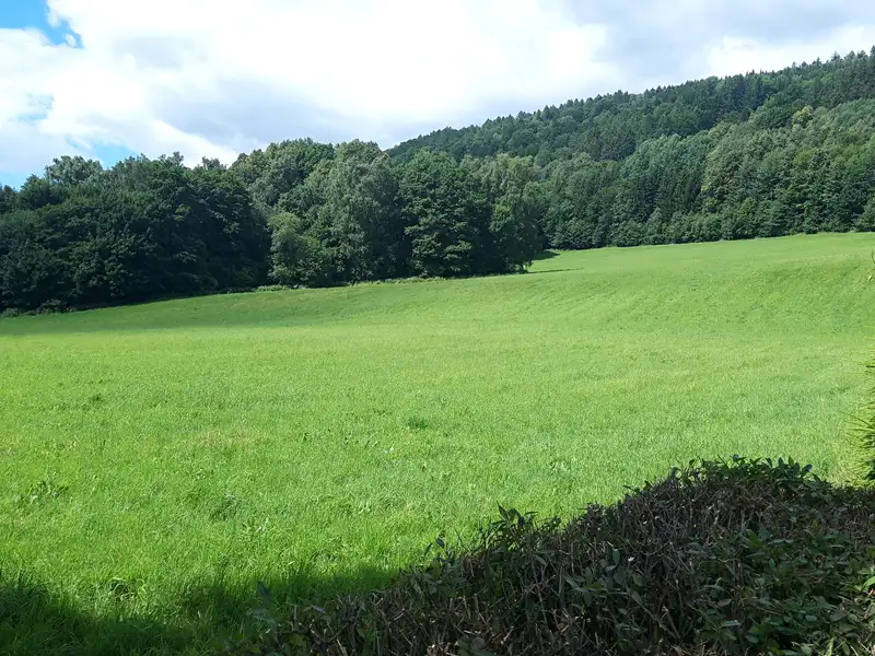 Prodej stavebního pozemku 36840 m², Loučná nad Desnou – náhled fotky 1