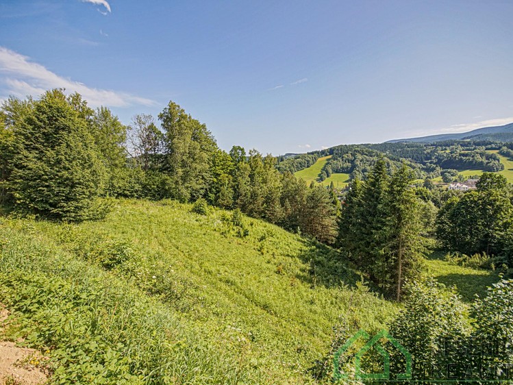 Prodej pozemku, 12 392 m² (8 z 9)