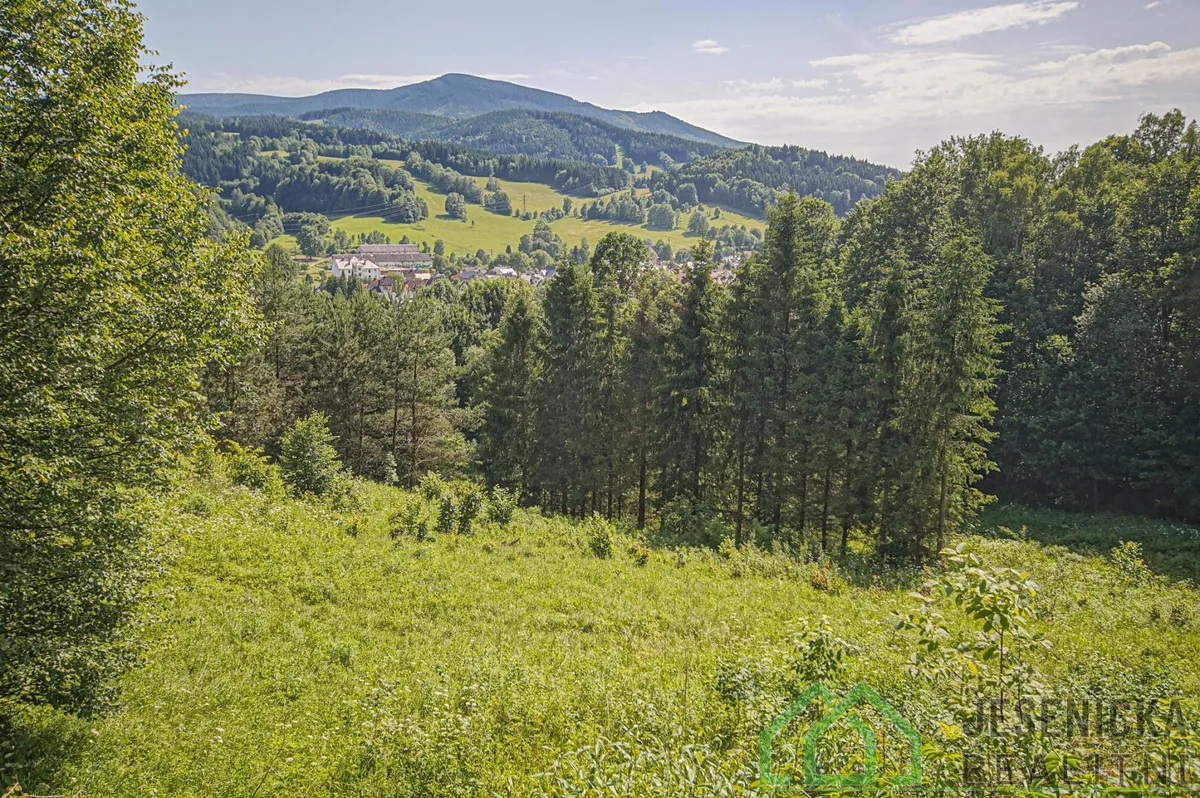 Prodej pole 12392 m²