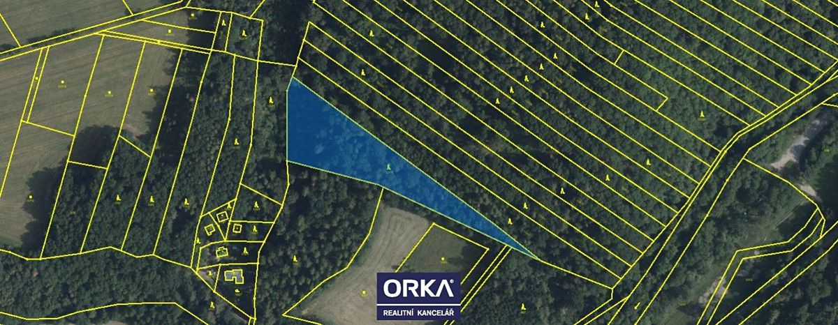 Prodej lesa 6823 m² – fotografie 3
