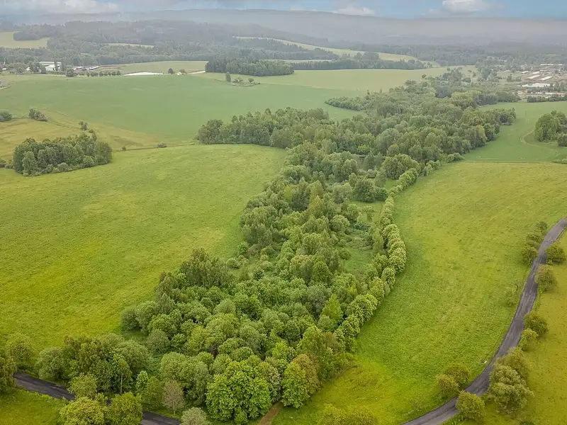 Prodej pole 54868 m², Krajková – náhled fotky 2