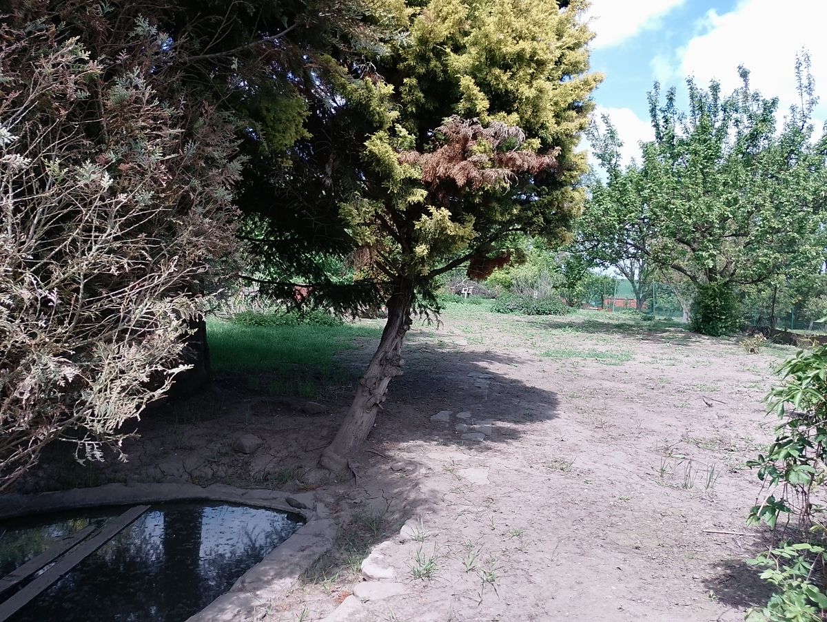 Prodej stavebního pozemku 2114 m² – fotografie 2