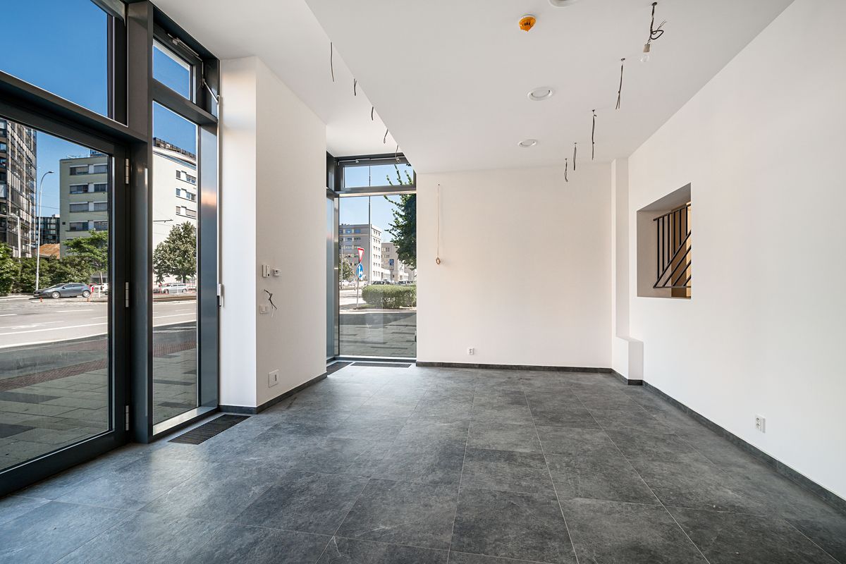 Prodej restaurace 352 m² – fotografie 4