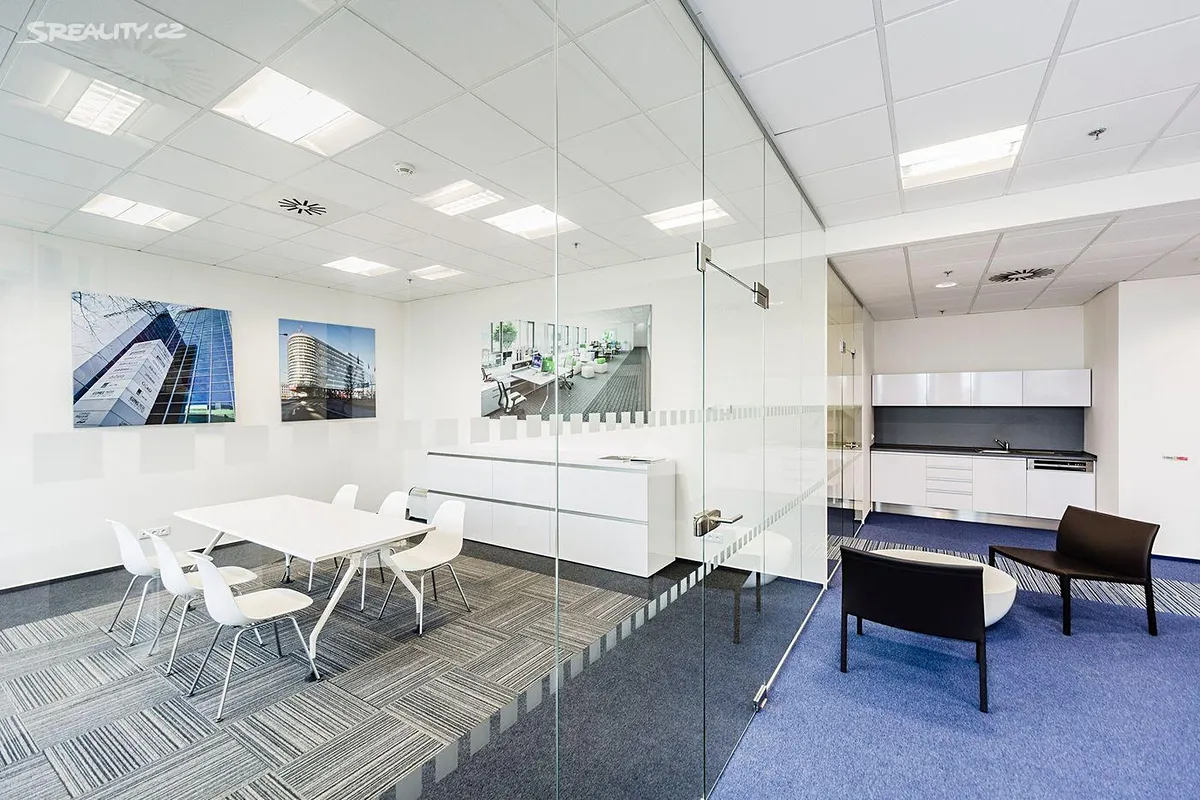 Pronájem kanceláře 793 m² – pohled 4
