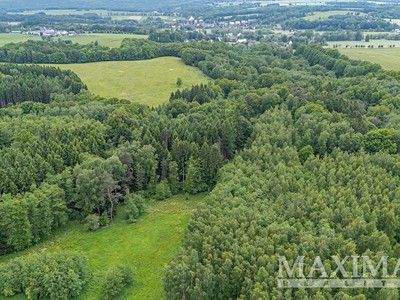 Prodej  lesa 14 573 m²