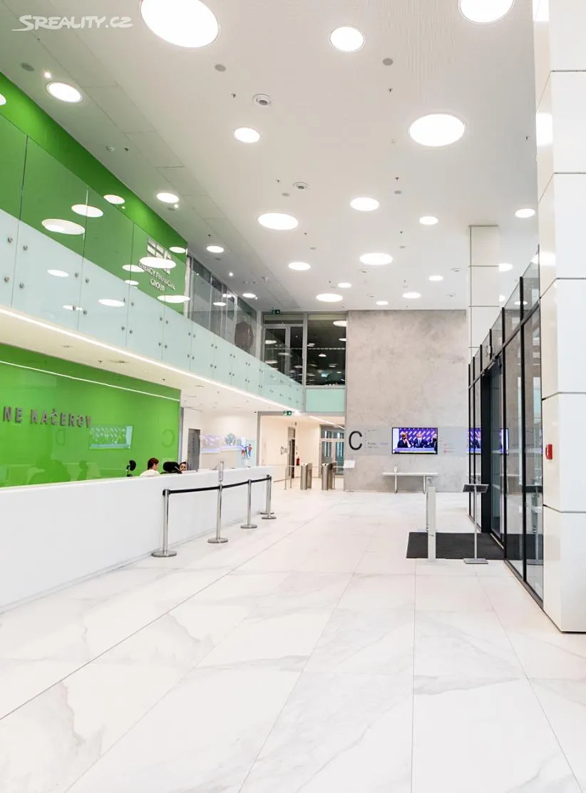 Pronájem kanceláře 793 m² – pohled 6